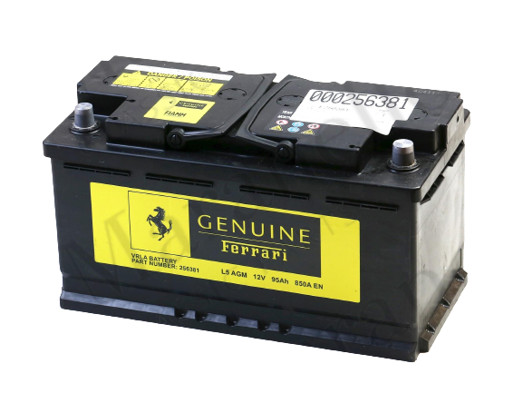 Ferrari Battery Replacement