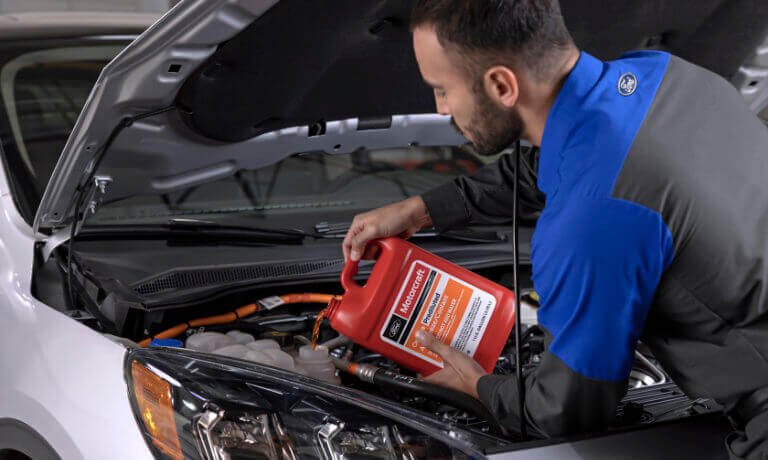 Ford oil filter and engine service preparation